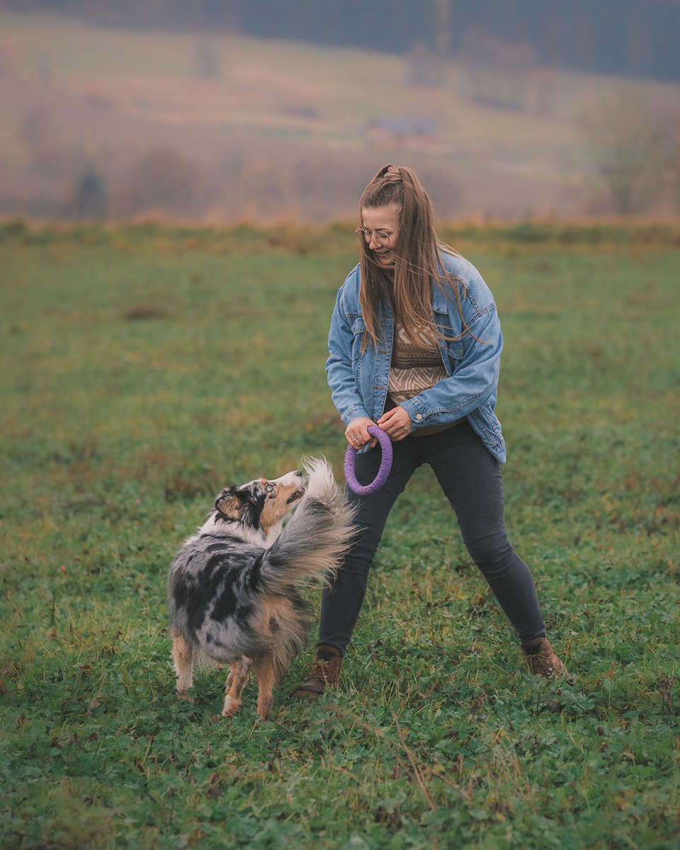 jak fotografować pieski