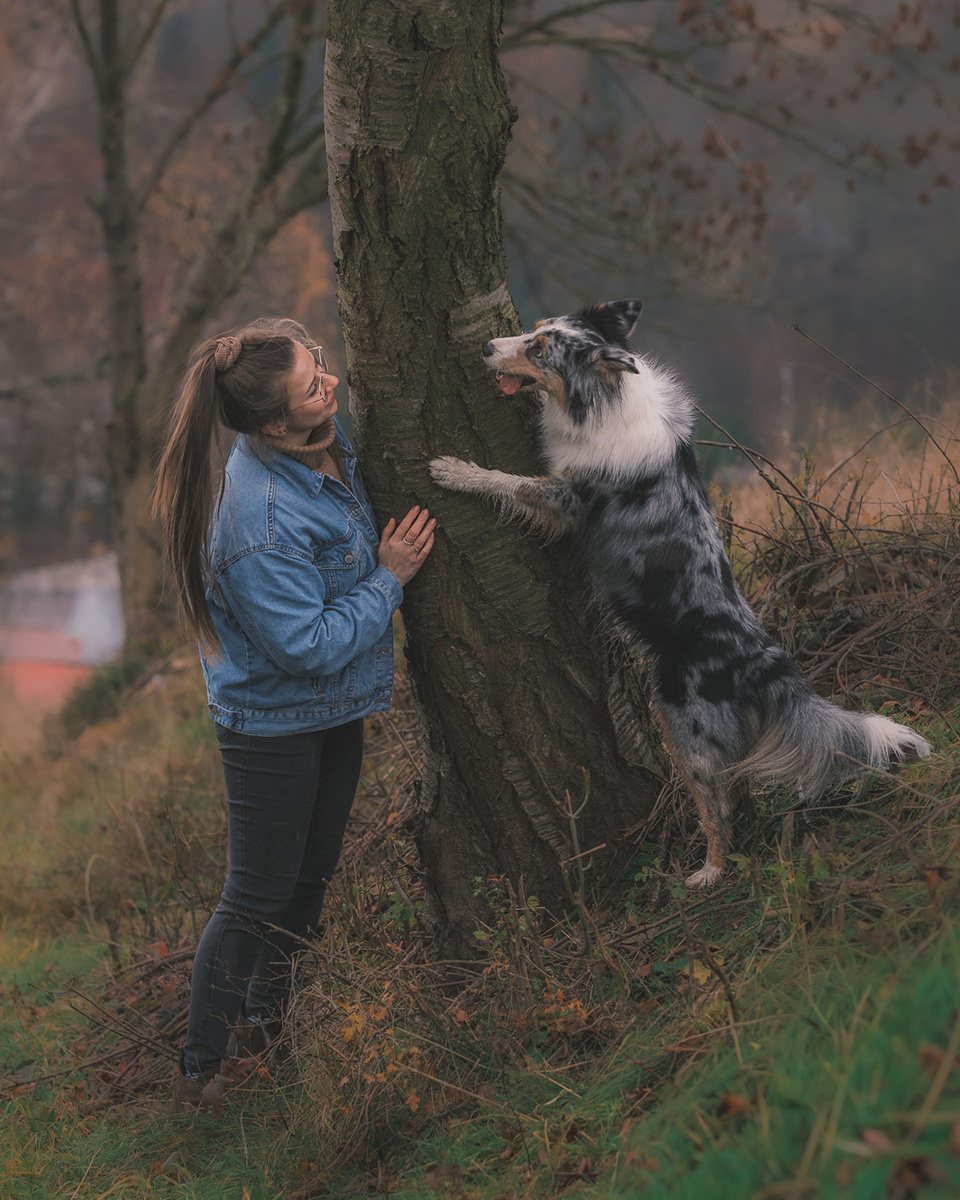 fotografowanie psów