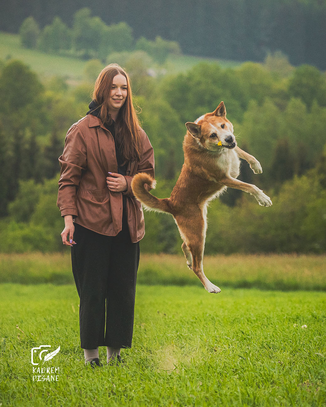 fotografia psów kotlina kłodzka