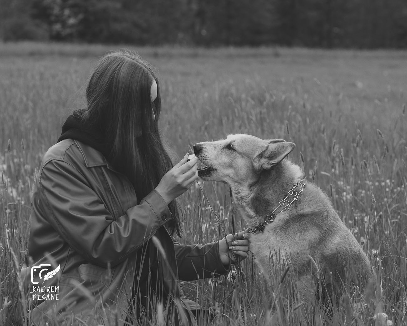 psia fotografia kłodzko