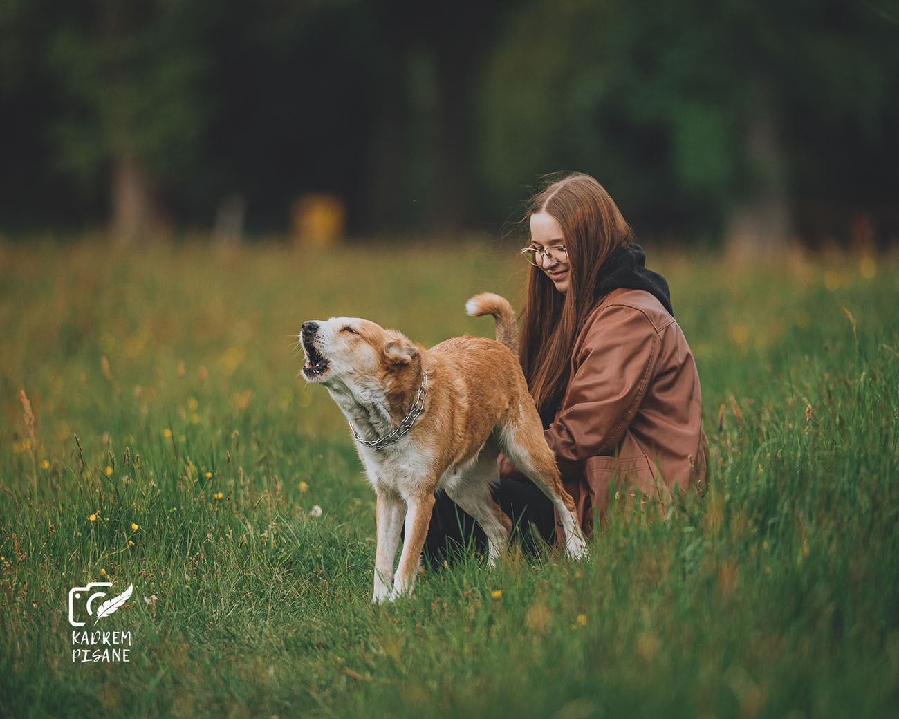 Sesja z psem na łące
