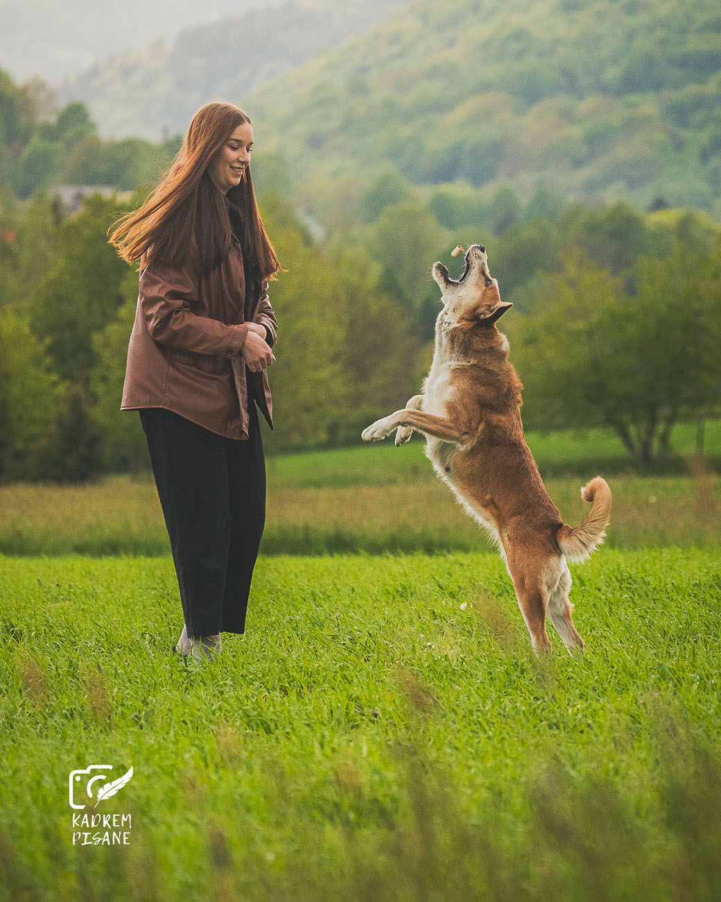 sesje zdjęciowe psów kłodzko