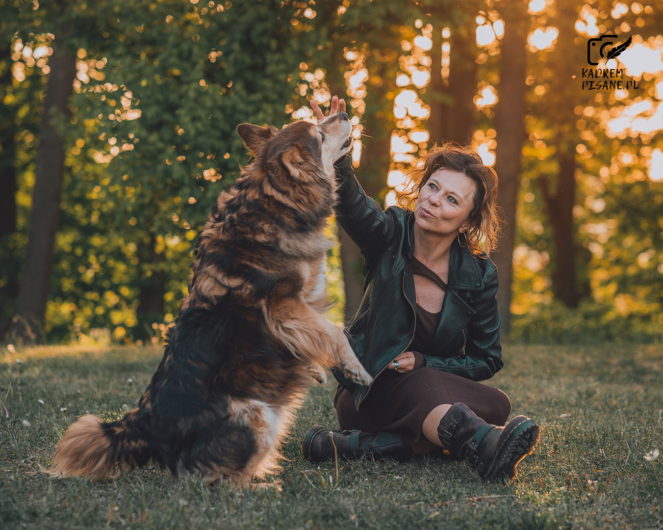 sesje zdjęciowe z psem