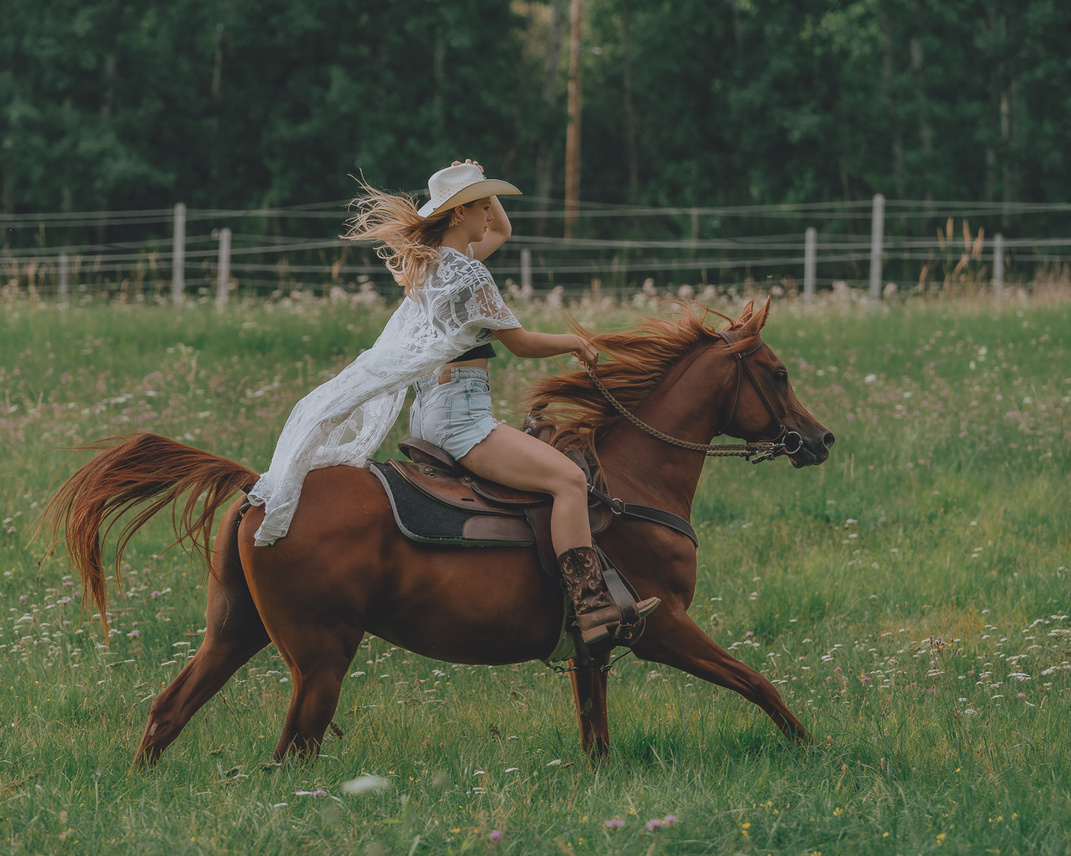sesja z koniem w prezencie