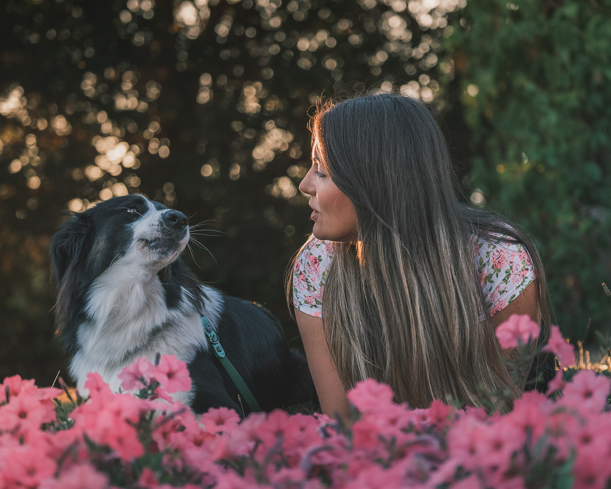 sesja zdjęciowa z psem w prezencie