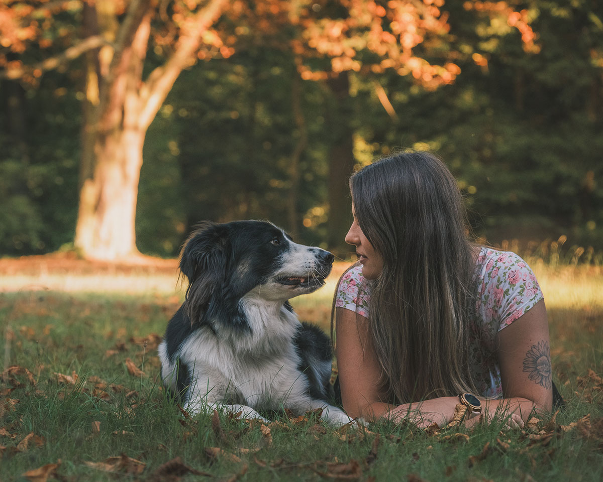 sesje piesków Wrocław