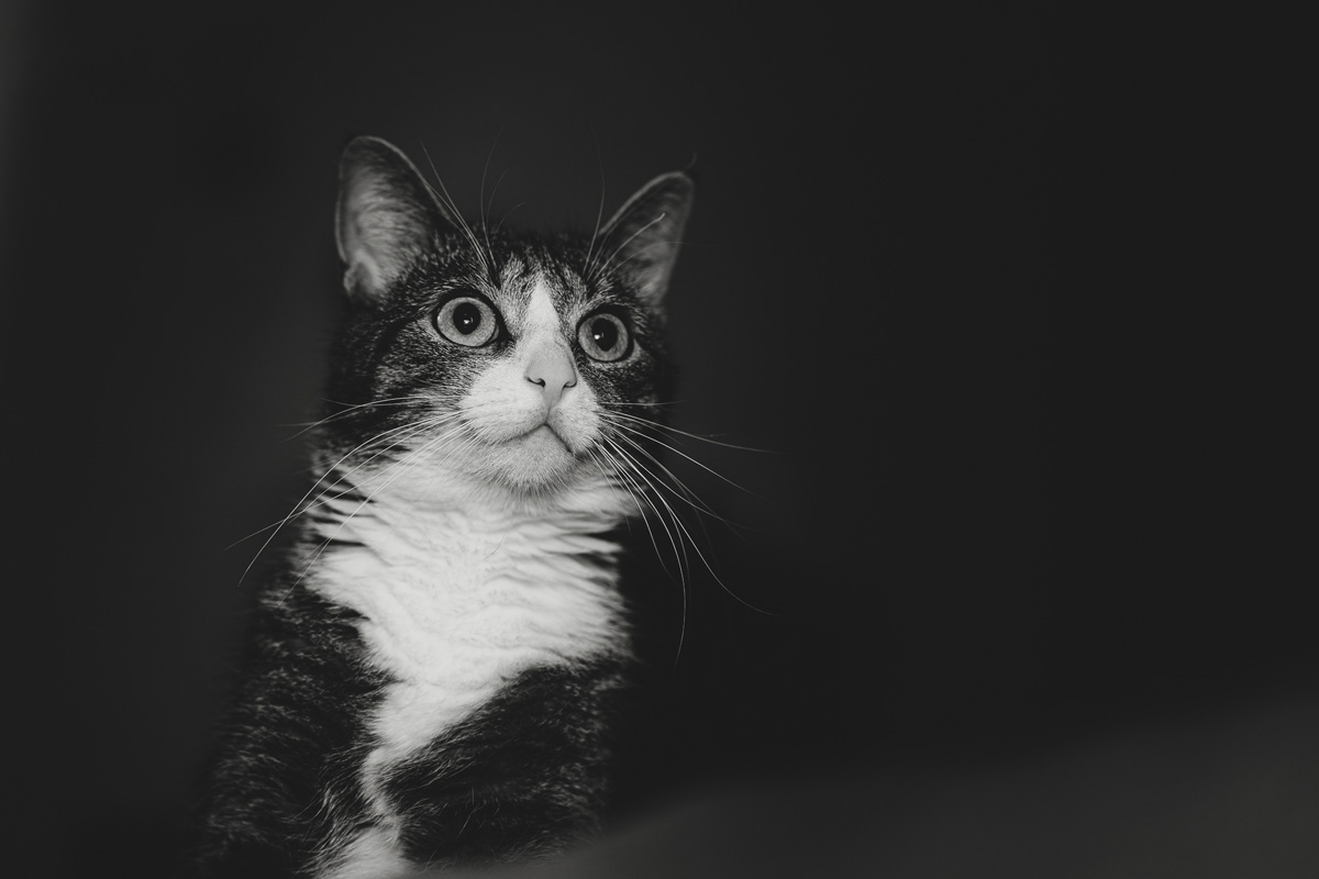 sesje zdjęciowe wrocław