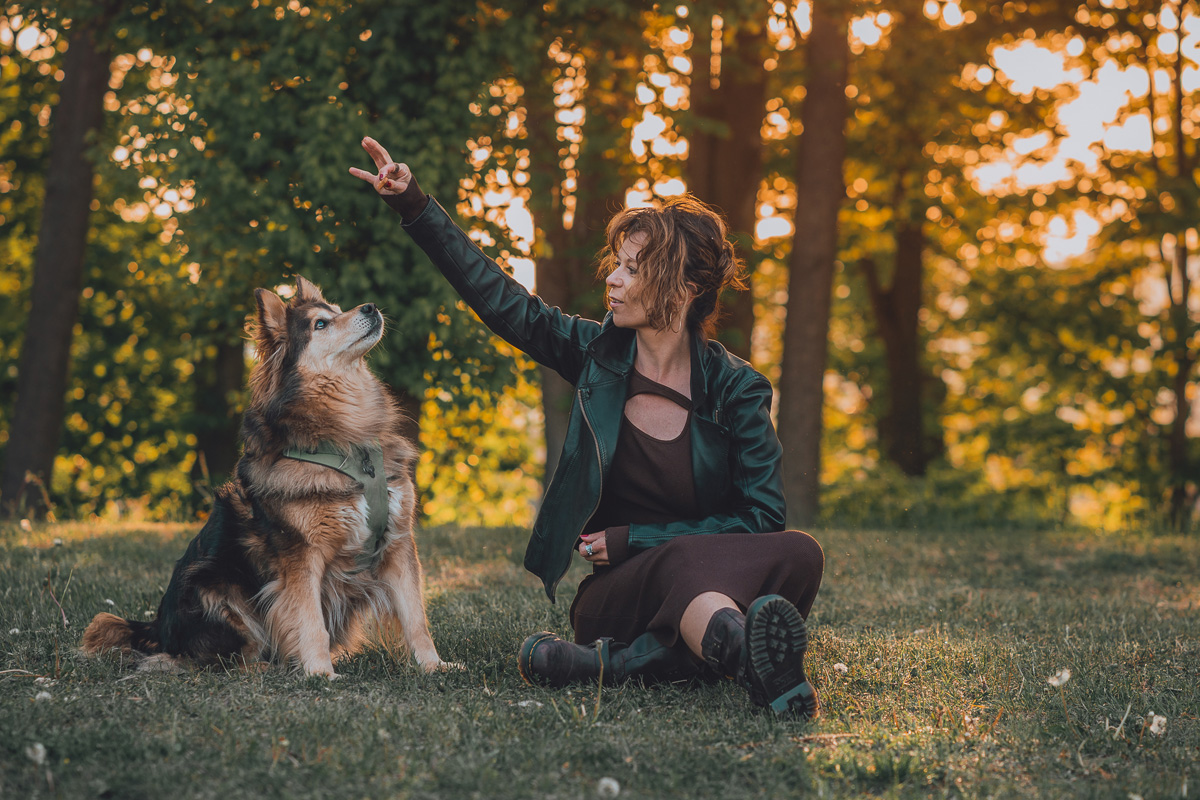 sesja zdjęciowa z psem