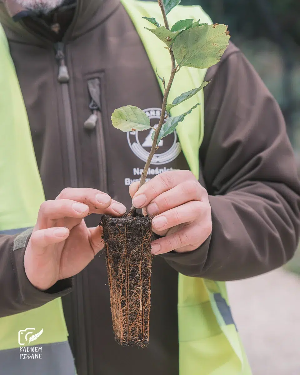 dokumentacja foto projektów