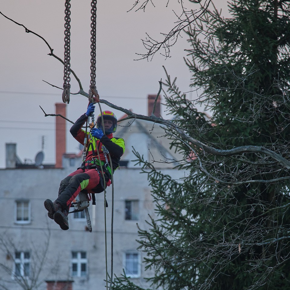 Fotograf dla firm - Wrocław, Częstochowa