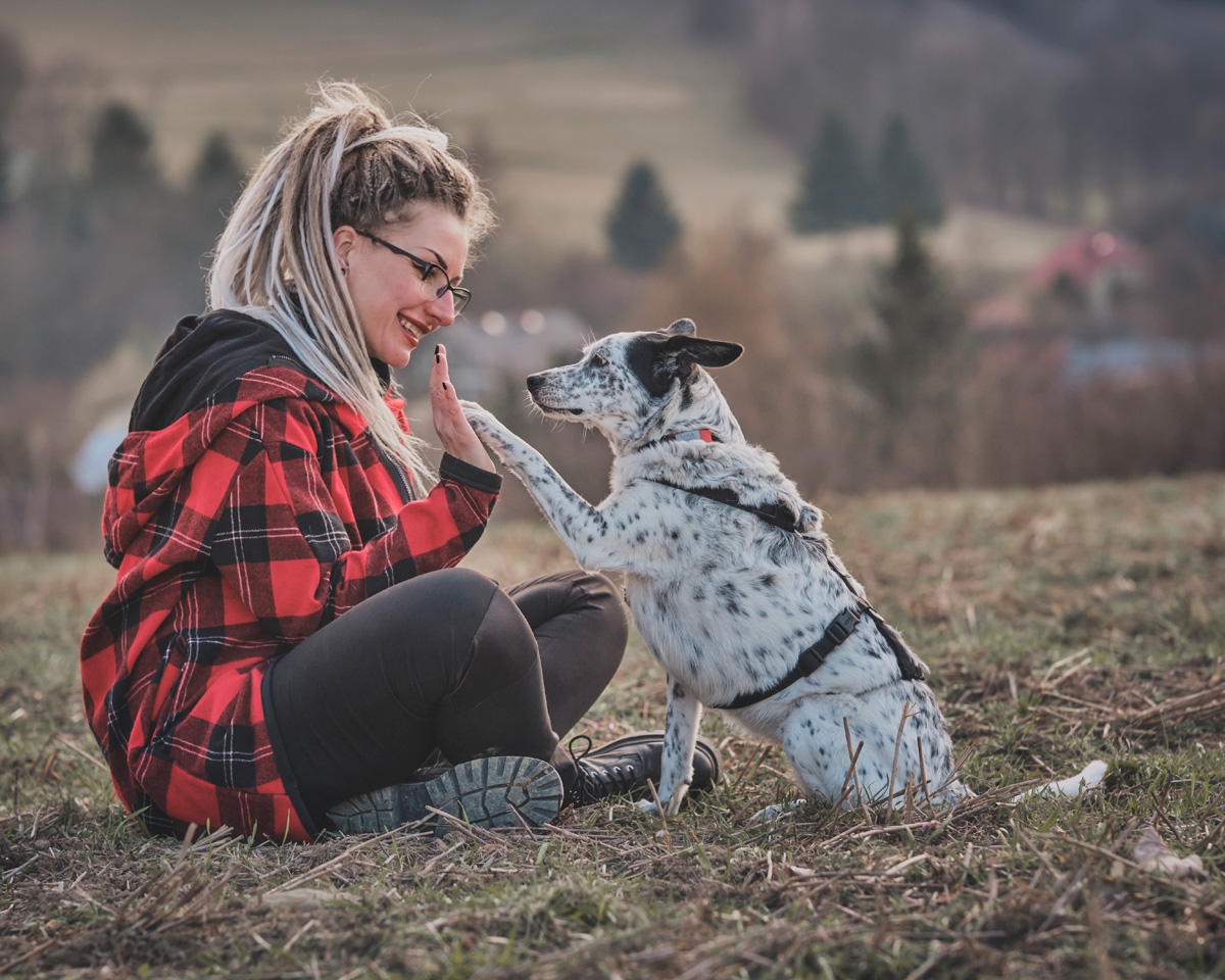 Sesja zdjęciowa z psem - inspiracje