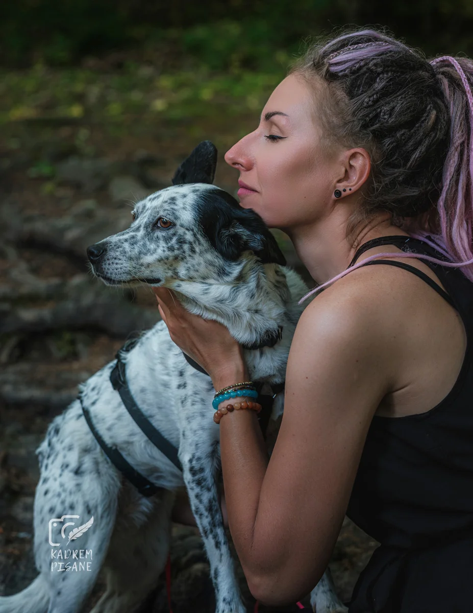 Jak fotografować psy