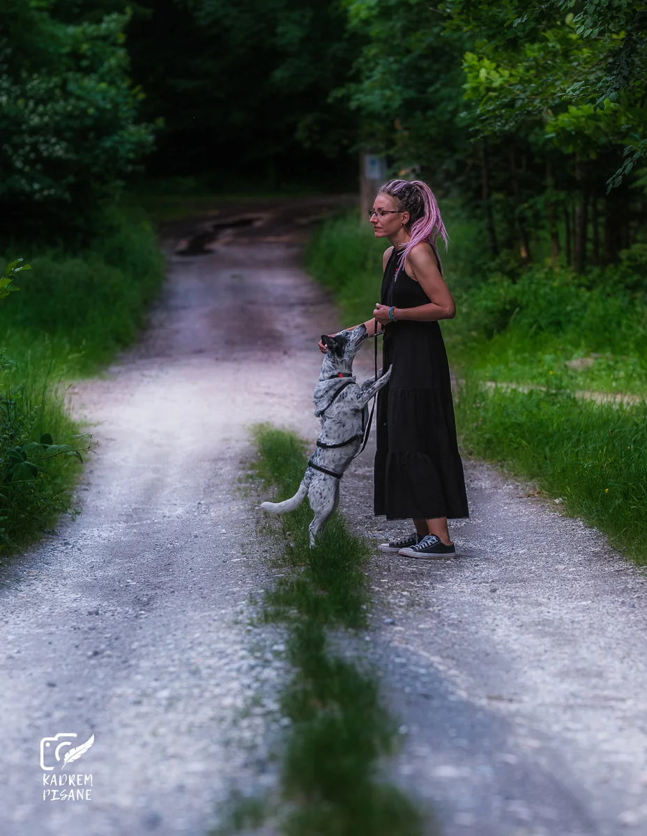 Fotografia psów Dolny Śląsk